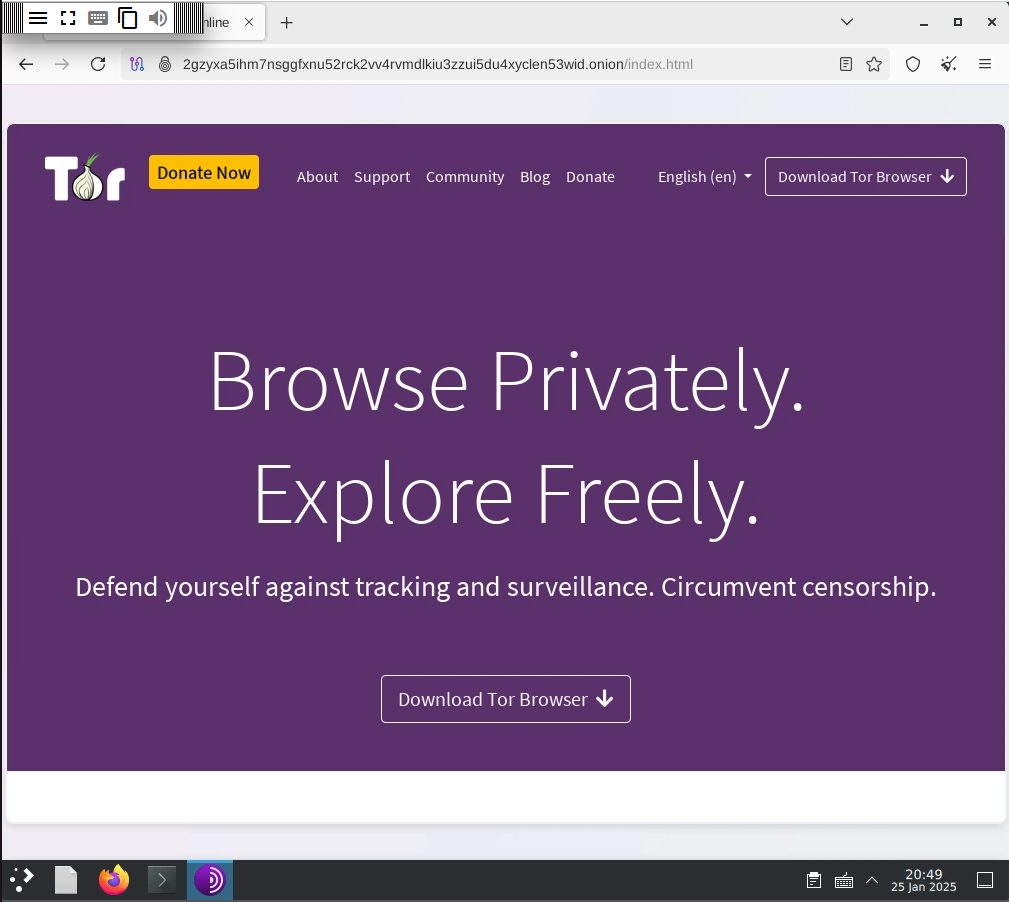 tor browser in action
